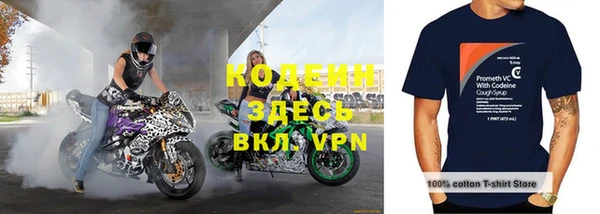 гидра Арсеньев