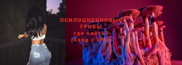 тгк Аркадак