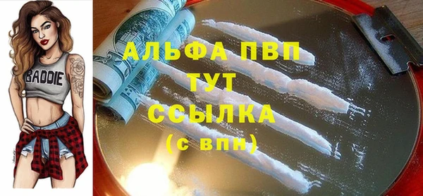 гидра Арсеньев
