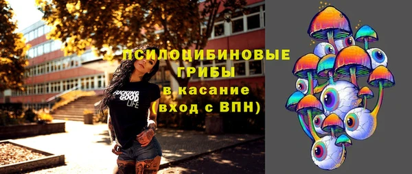 тгк Аркадак