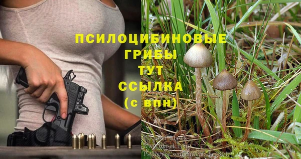 трава Армянск