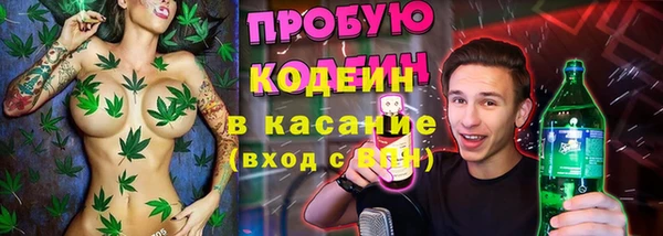 гидра Арсеньев