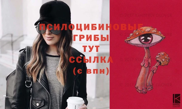 тгк Аркадак