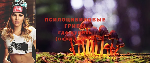 гидра Арсеньев