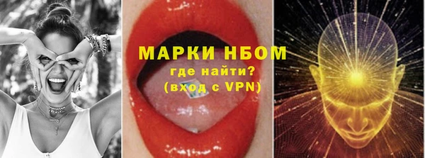 гидра Арсеньев