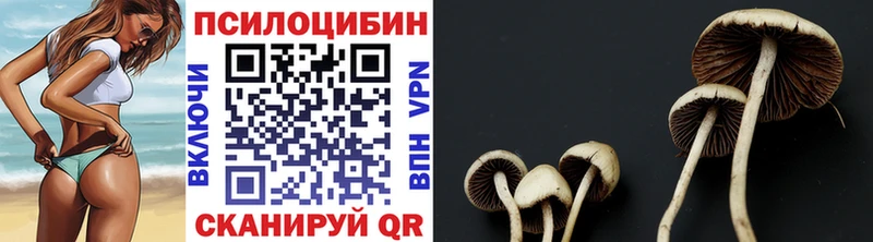 Псилоцибиновые грибы Cubensis  Североморск 